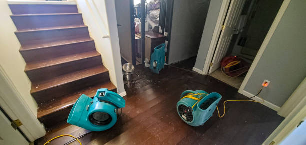 Best Wood Floor Water Damage Restoration in Weissport East, PA