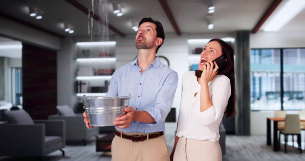 Trusted Weissport East, PA Water damage restoration Experts